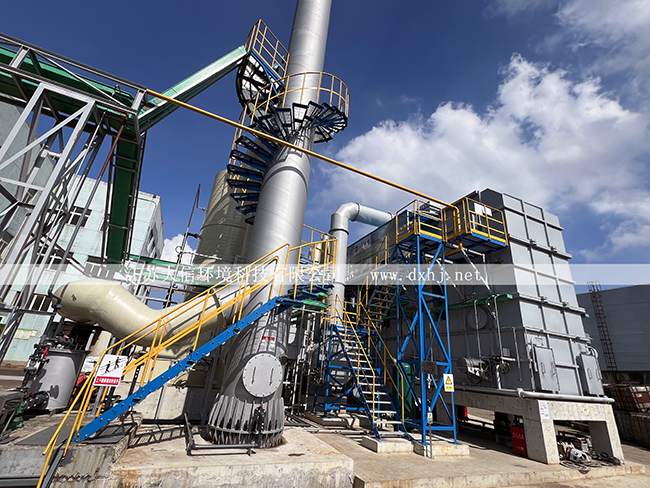 寧波龍欣精細(xì)化工有限公司廢氣蓄熱焚燒爐